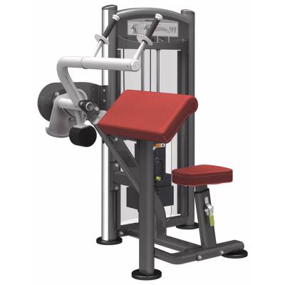 Трицепс Aerofit IT9323 Тренажёр является воплощением профессионализма, стиля и надёжности. Обладает устойчивой конструкцией и современным дизайном.

Прочная структура рамы изготовлена из стальных труб. Параметры профиля труб: 5&times;10 см, стенки толщиной 0,3 см. Новейшая технология сварки позволяет достичь наивысшей точности.

Новейший порошковый способ покраски рамы позволяет создать лучшее сцепление металла с поверхностью, покрытой лаком.

Размеры &ndash; 115,0&times;113,8&times;148,5 см;

Весовой стек &ndash; 68 кг / 91 кг (150 ф / 200 ф).
